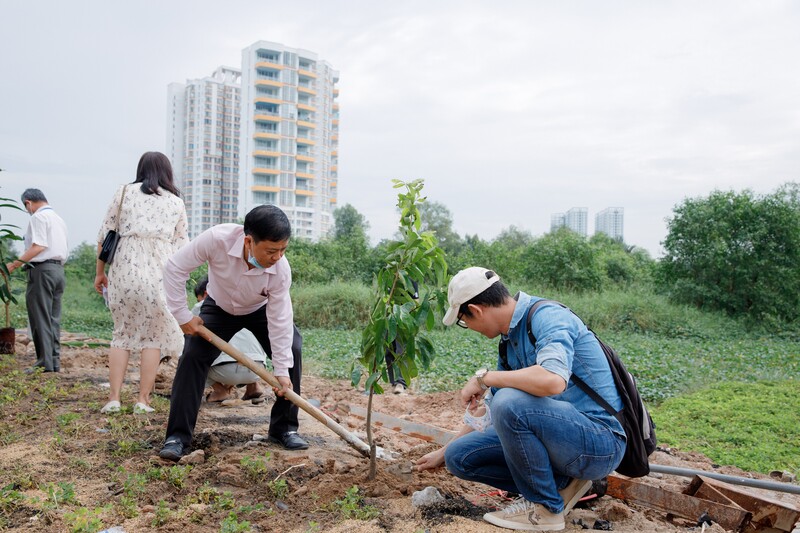 cá cược thể thao hul city